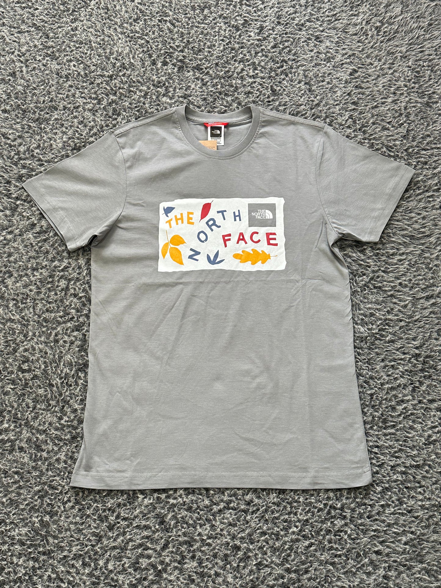 THE NORTH FACE FALLING GREY SHIRT