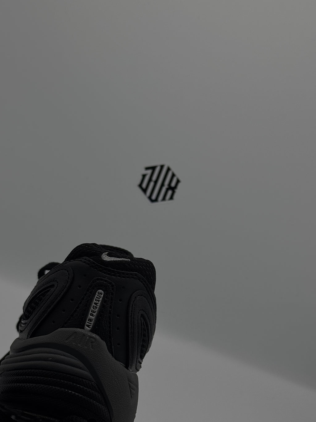 AIR PEGASUS 2k5 BLACK GREY