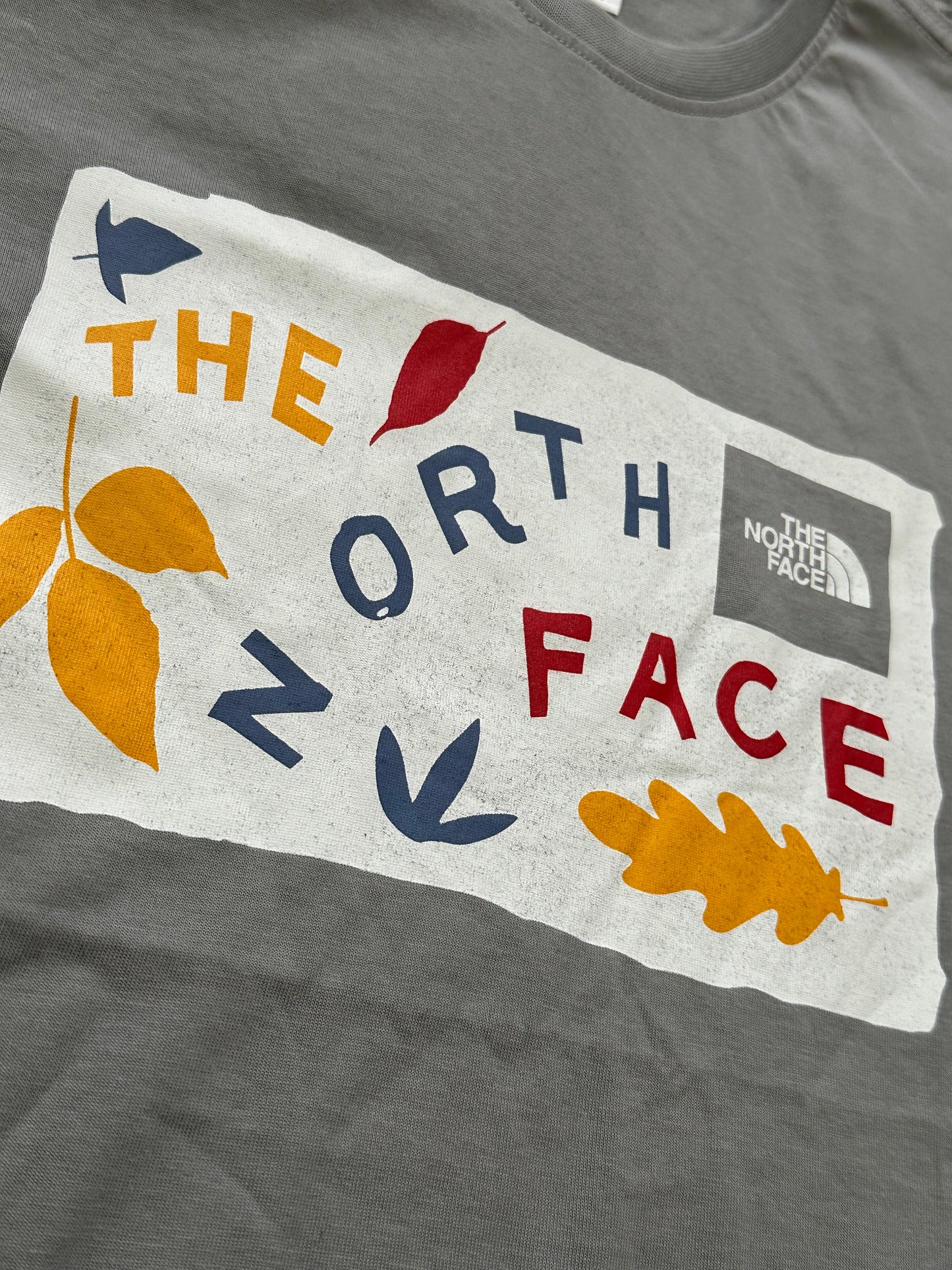 THE NORTH FACE FALLING GREY SHIRT