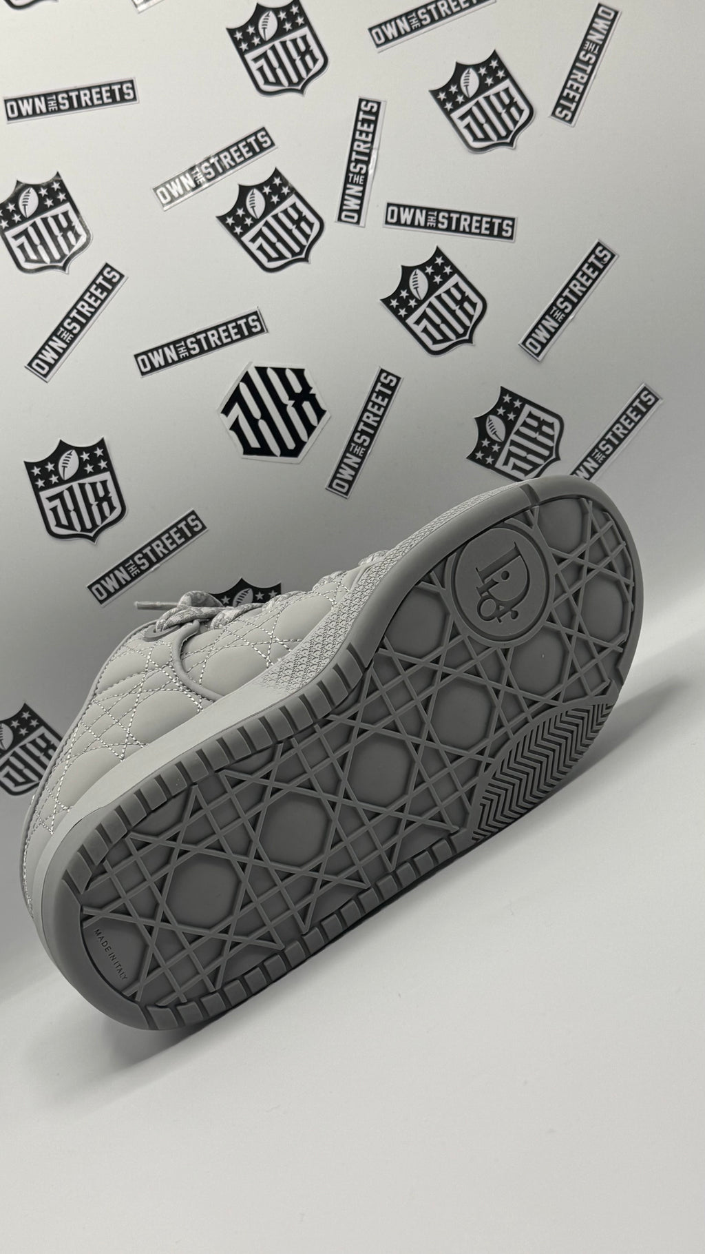 DIOR B9S SKATER GREY (Very Very High Quality)