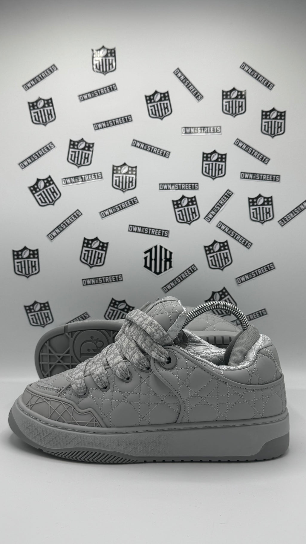 DIOR B9S SKATER GREY (Very Very High Quality)