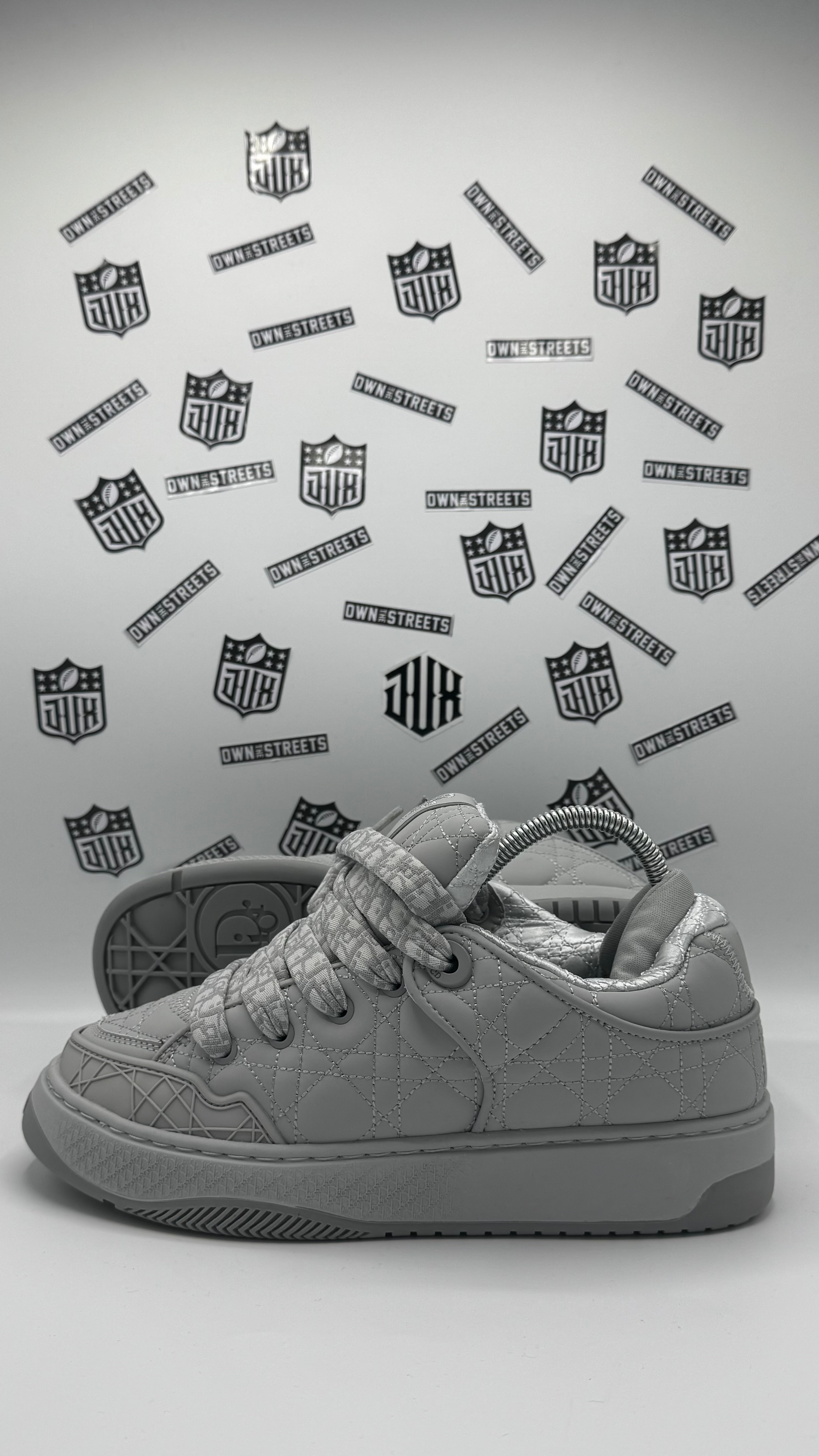 DIOR B9S SKATER GREY (Very Very High Quality)