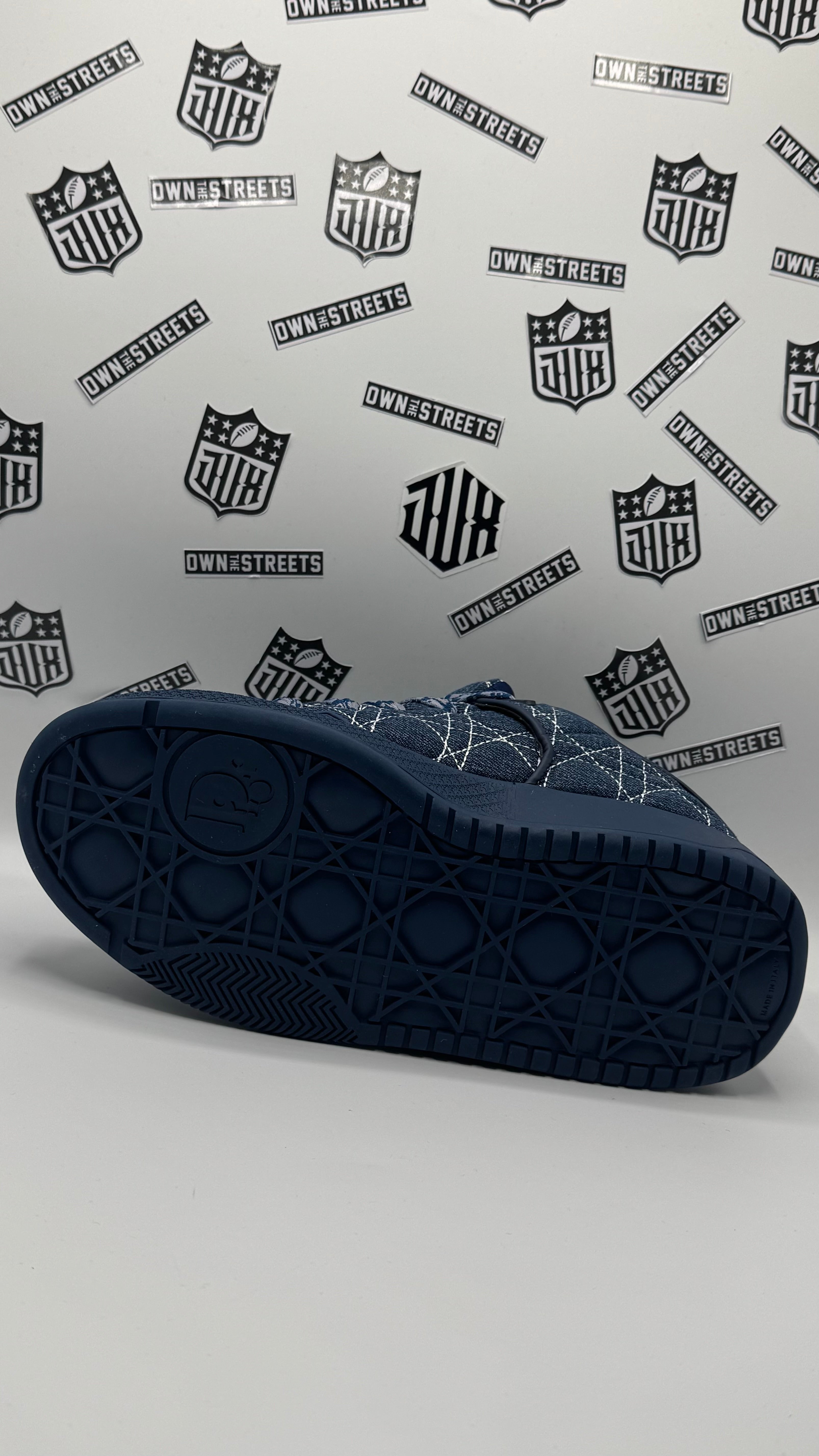 DIOR B9S SKATE BLUE (VERY VERY HIGH QUALITY)