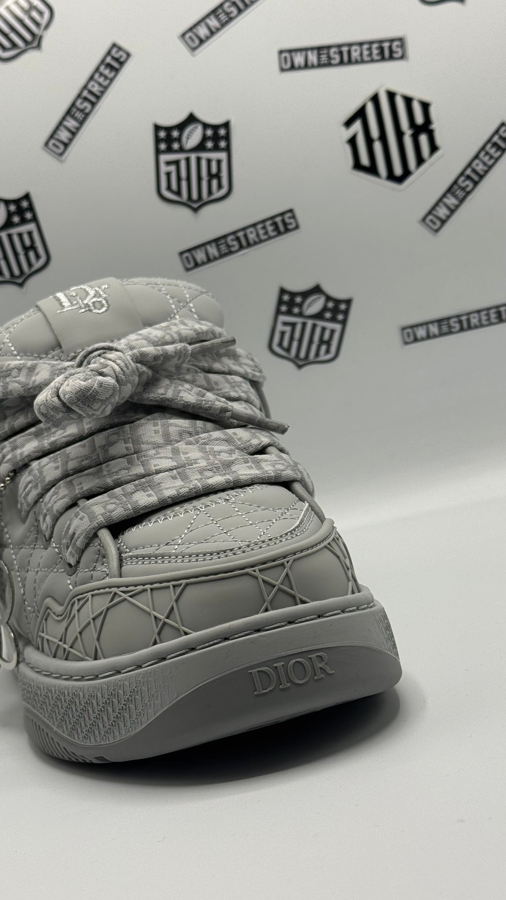 DIOR B9S SKATER GREY (Very Very High Quality)