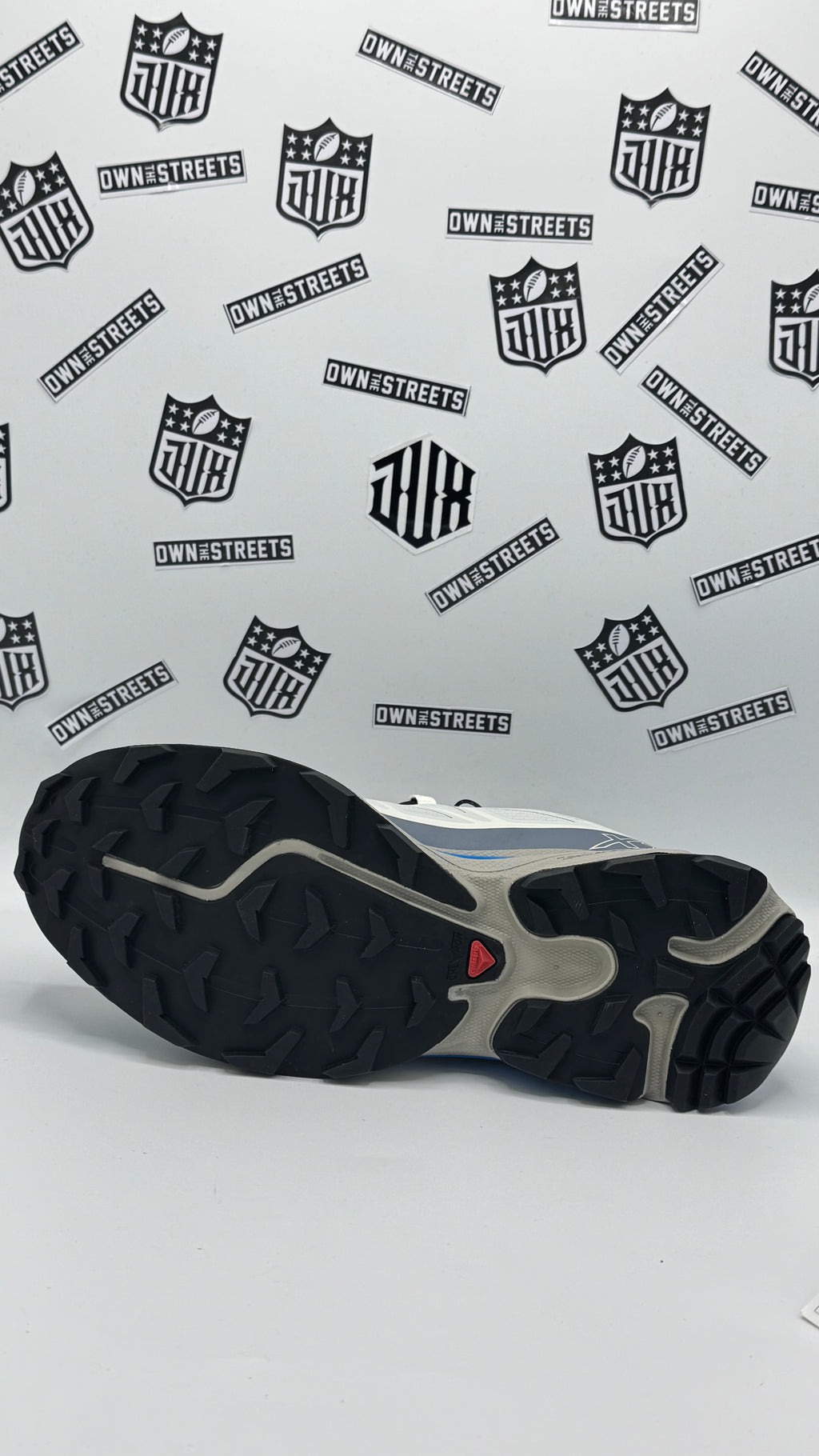 SALOMON XT-6 SILVER CLOUD  (TRIPLE A)