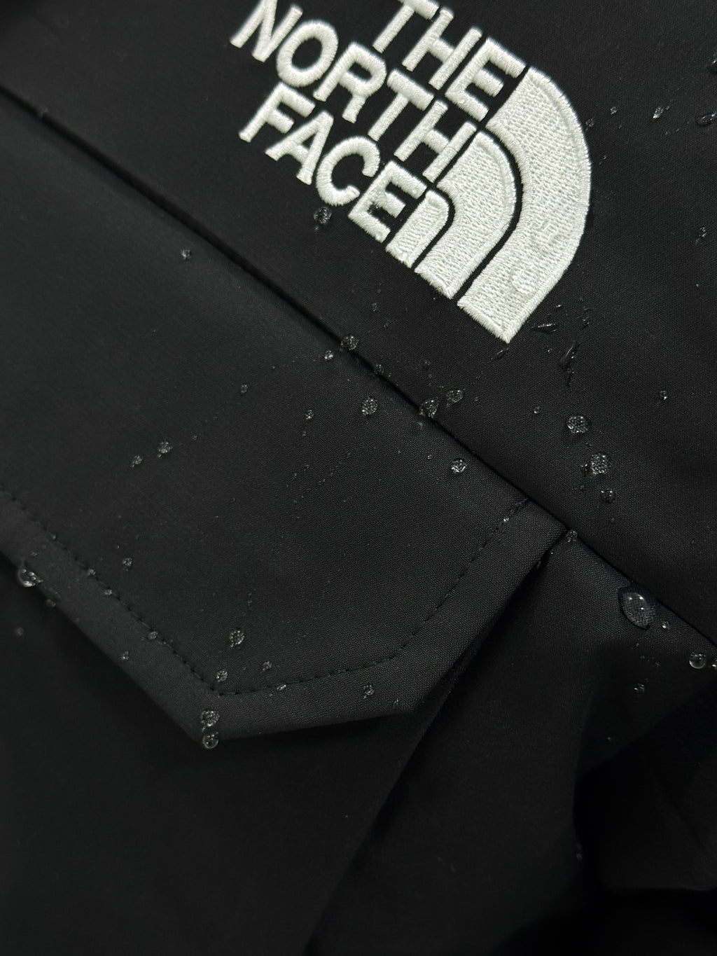 THE NORTH FACE  DryVent  jacket BLACK