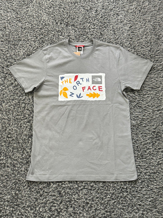 THE NORTH FACE FALLING GREY SHIRT